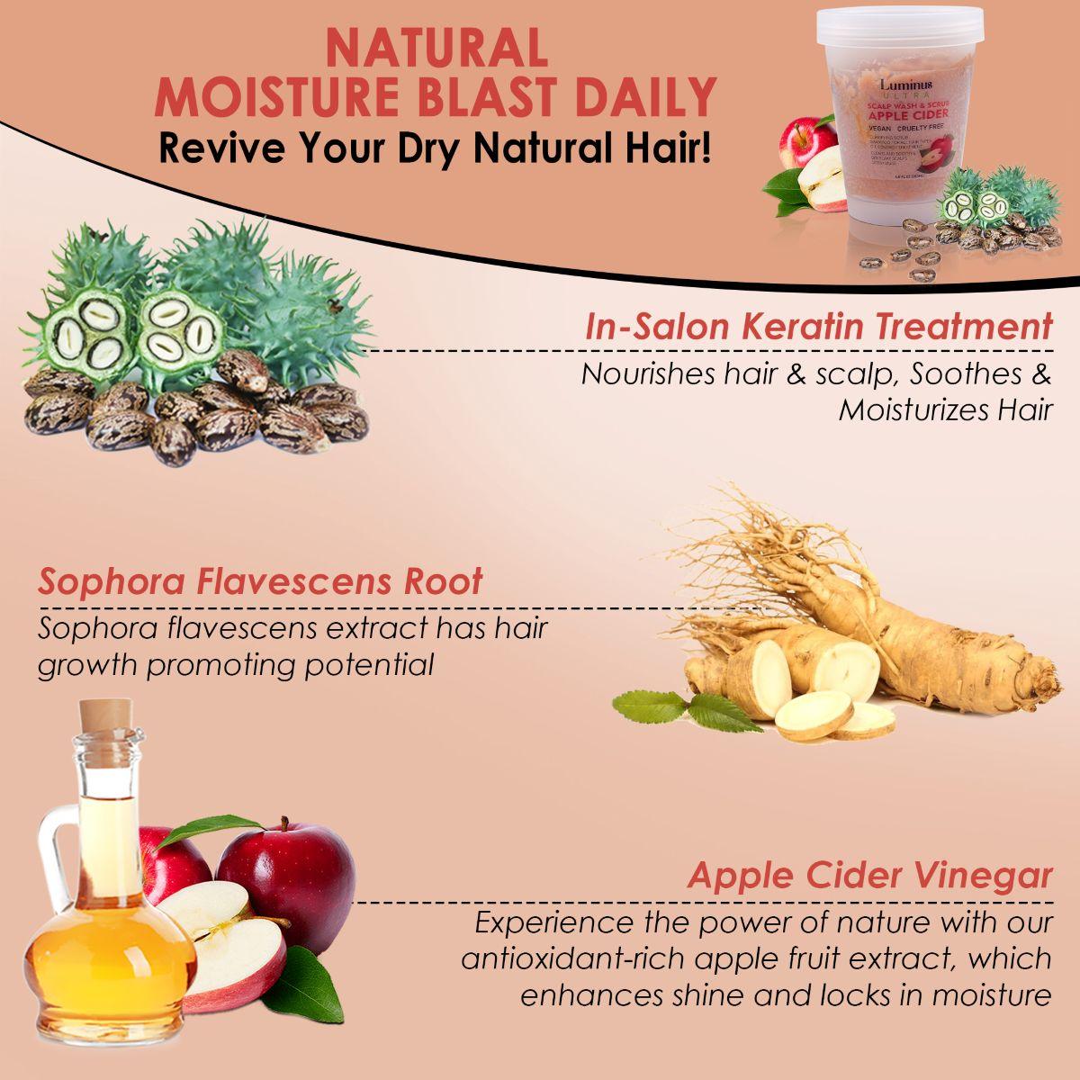 Apple Cider Scalp Wash Treatment-3