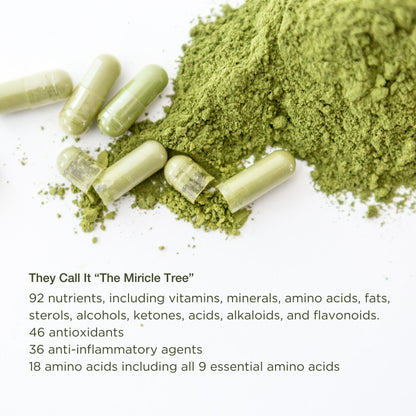 Premium Organic Moringa leaf Powder Supplements in Vegan Capsules 120ct in a Glass Jar. Non-GMO, Complete Green Superfood-3